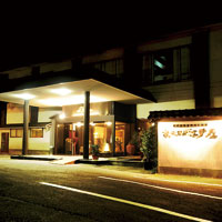 �G�[�X�i�s�a�F�}�g�R�]�ˉ�